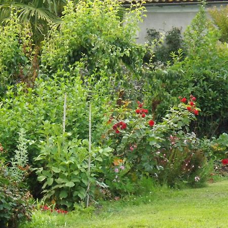 Bed and Breakfast DameChouette Pujols  Exterior foto