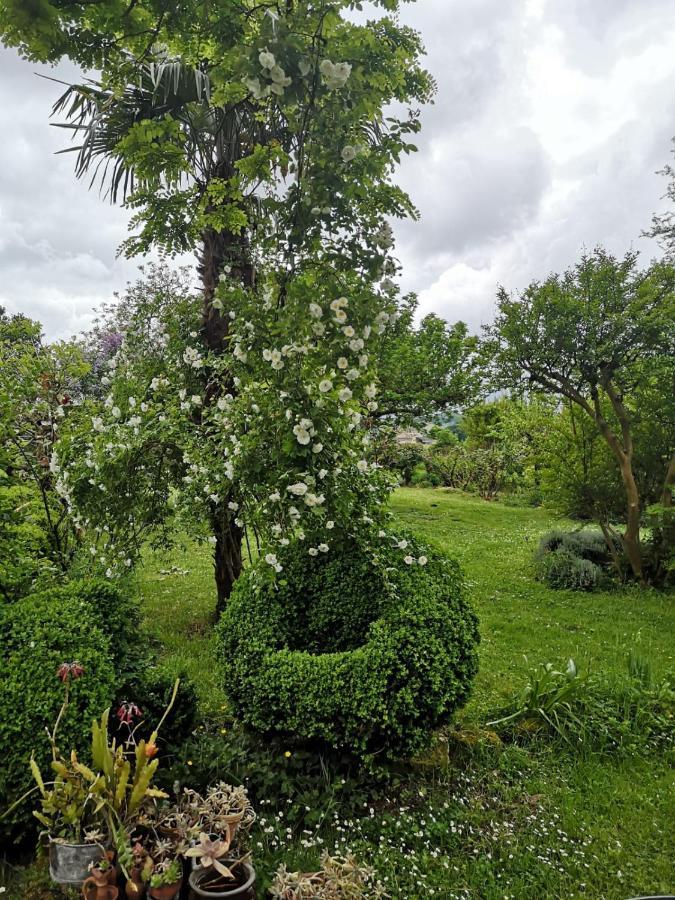 Bed and Breakfast DameChouette Pujols  Exterior foto