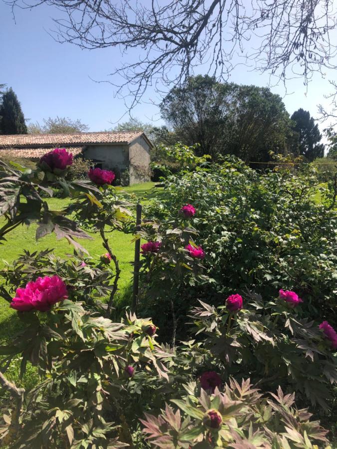 Bed and Breakfast DameChouette Pujols  Exterior foto